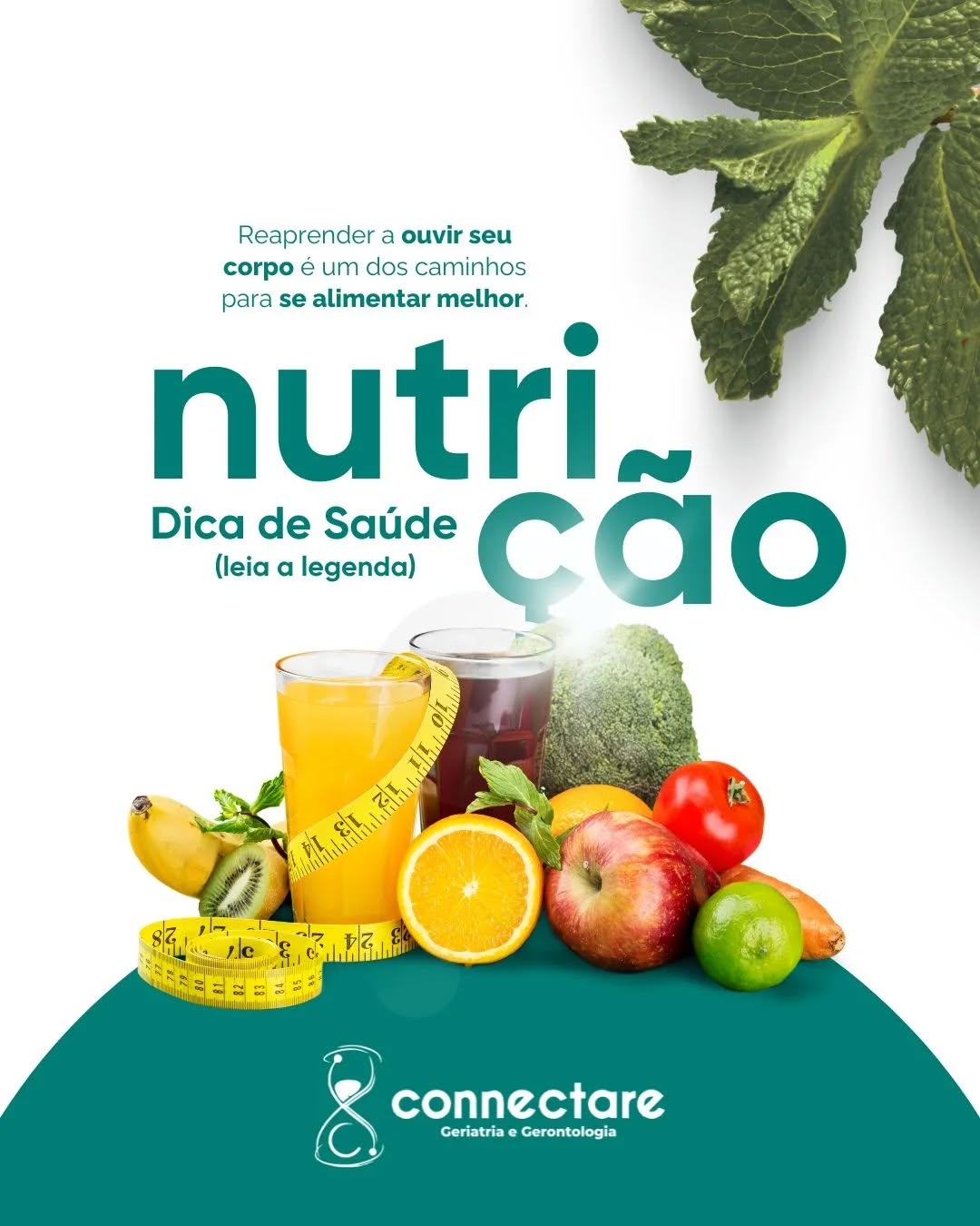 Dicas de nutrição para idosos: hábitos simples que fazem diferença na saúde